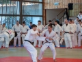 Ono-Hosokawa-100