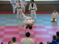 Ono-Hosokawa-94