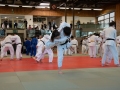 Ono-Hosokawa-96
