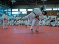 Ono-Hosokawa-15