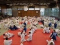 Ono-Hosokawa-8