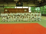Great Judo 2013