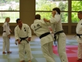 2013 Great Judo Hosokawa Masaki 17
