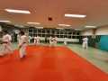 9c921e55-3b1d-4d1b-8991-d1464e2ad354