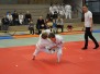 Tournoi interne 2015